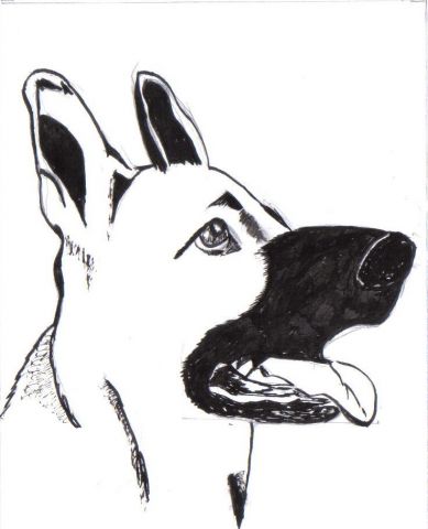 Un chien en or